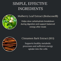 Reducose white mulberry leaf ingredient highlighting carb digestion support potential
