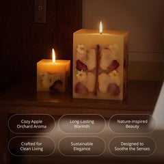 Refillery Haus candle wax close-up shows natural layers and clean burn.