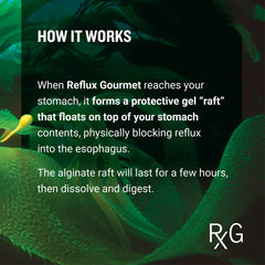 REFLUX GOURMET Mint Chocolate Rescue ingredients list highlights natural, gluten-free formula