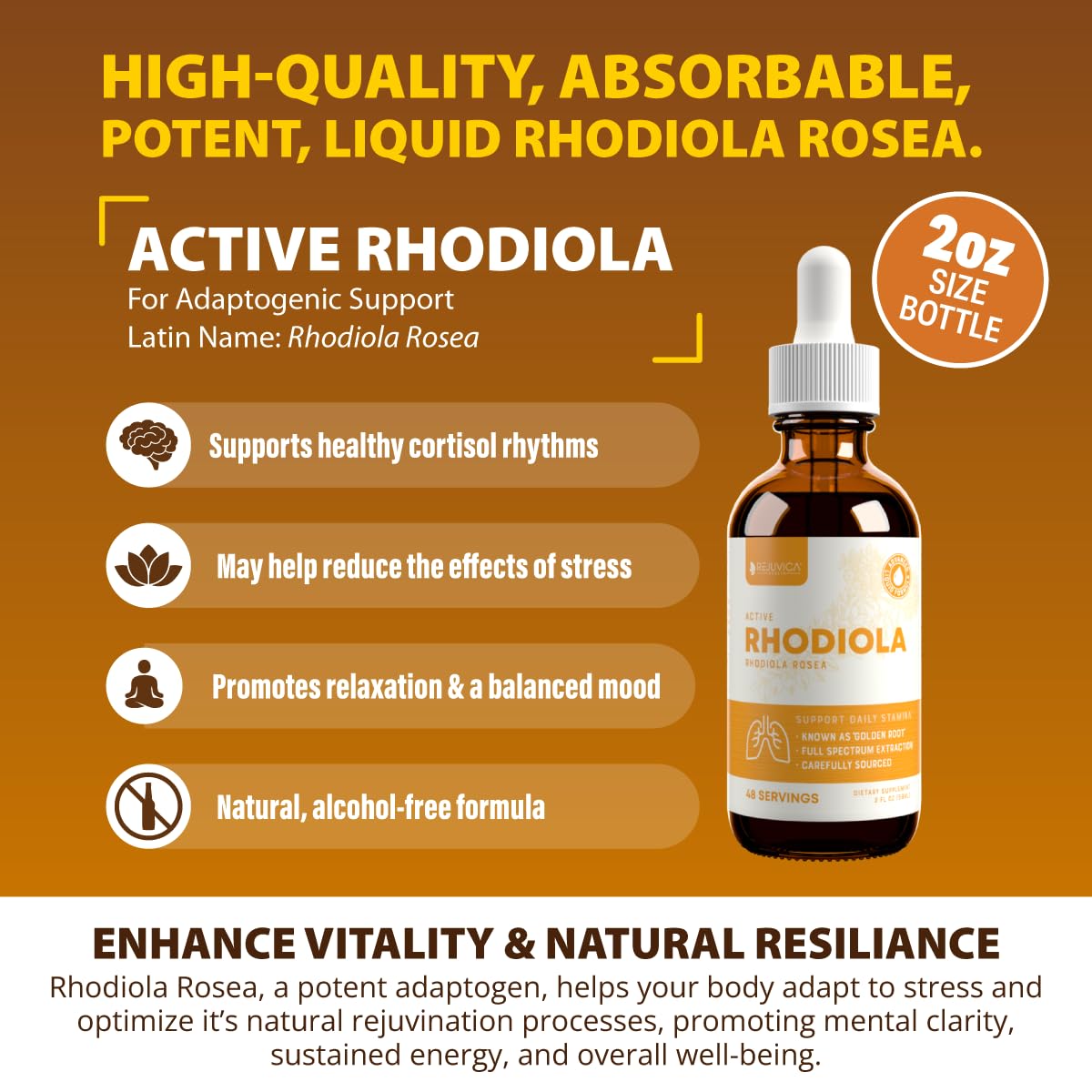 Rejuvica Health Active Rhodiola liquid in amber bottle for on-the-go energy.