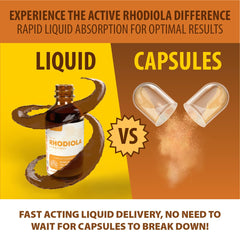 Rejuvica Health Active Rhodiola taste-friendly liquid on tongue.