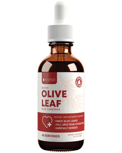 Rejuvica Health Active Olive Leaf Drops bottle highlights fast-absorption, alcohol-free formula.