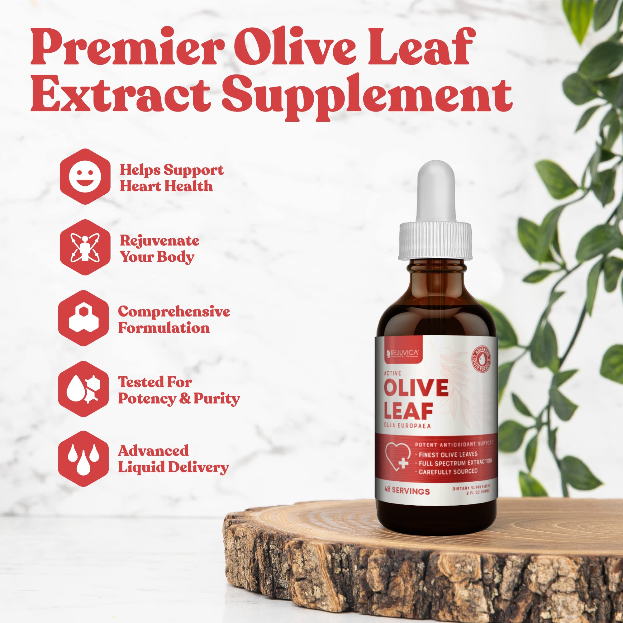 Rejuvica Health Active Olive Leaf Drops label reflects natural olive leaf extract.