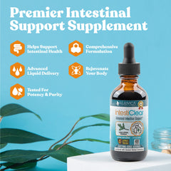 IntestiClear dropper close-up showing liquid tincture with rapid absorption potential