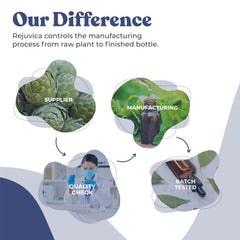 Rejuvica Health Organic and wildcrafted ingredients section signaling nature-based wellness.