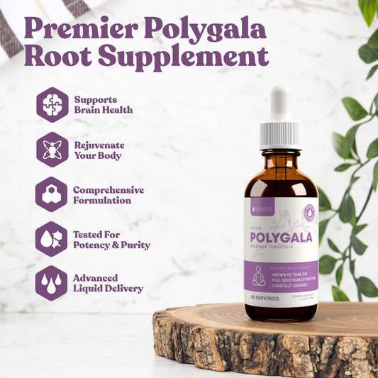 Active Polygala root extract dropper ready for fast absorption.