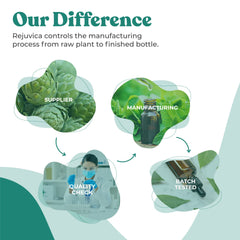 Rejuvica Health Prostavec organic-wildcrafted ingredients signal quality.