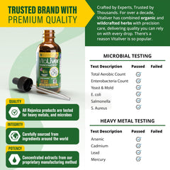Rejuvica VitaLiver dandelion image suggesting cleansing and gentle detox ideas