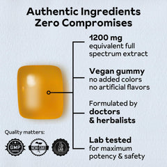 Chewy peach gummies texture from Reprise Jujube Seeds