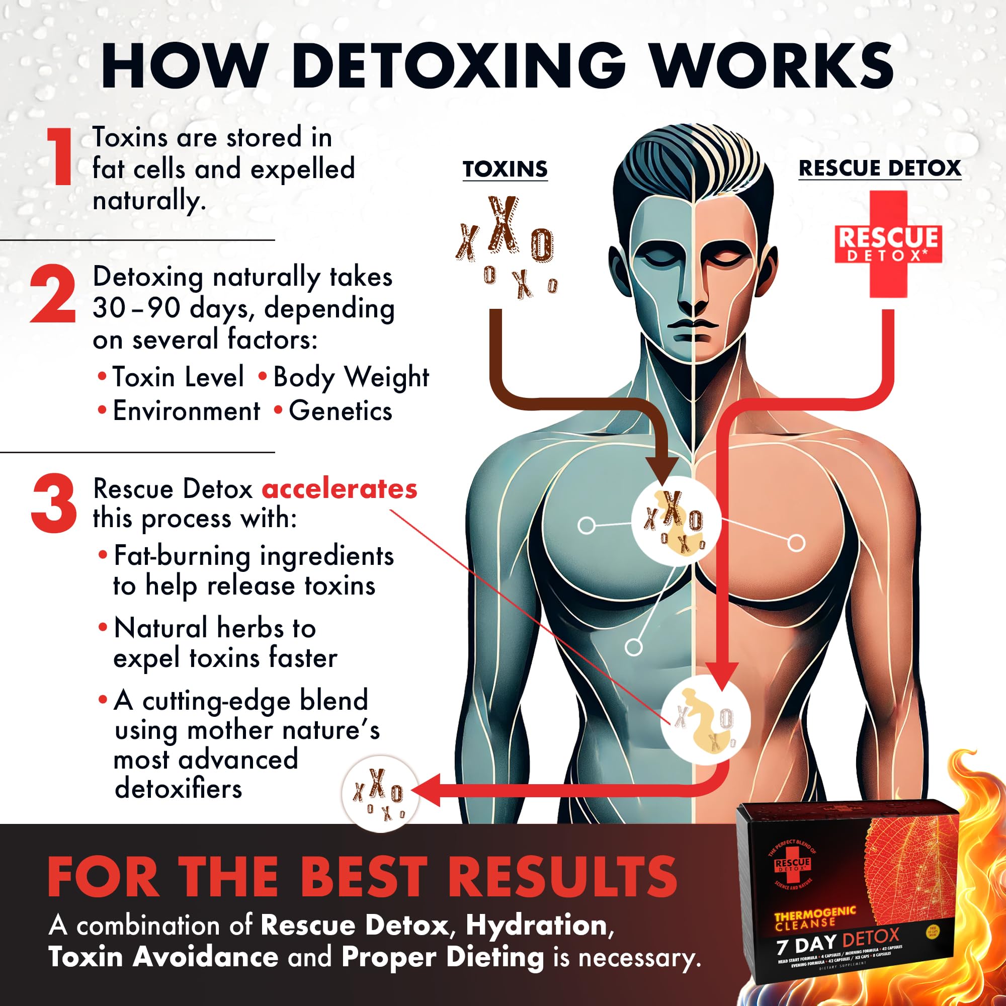 Rescue Detox live coaching interface offering ongoing guidance