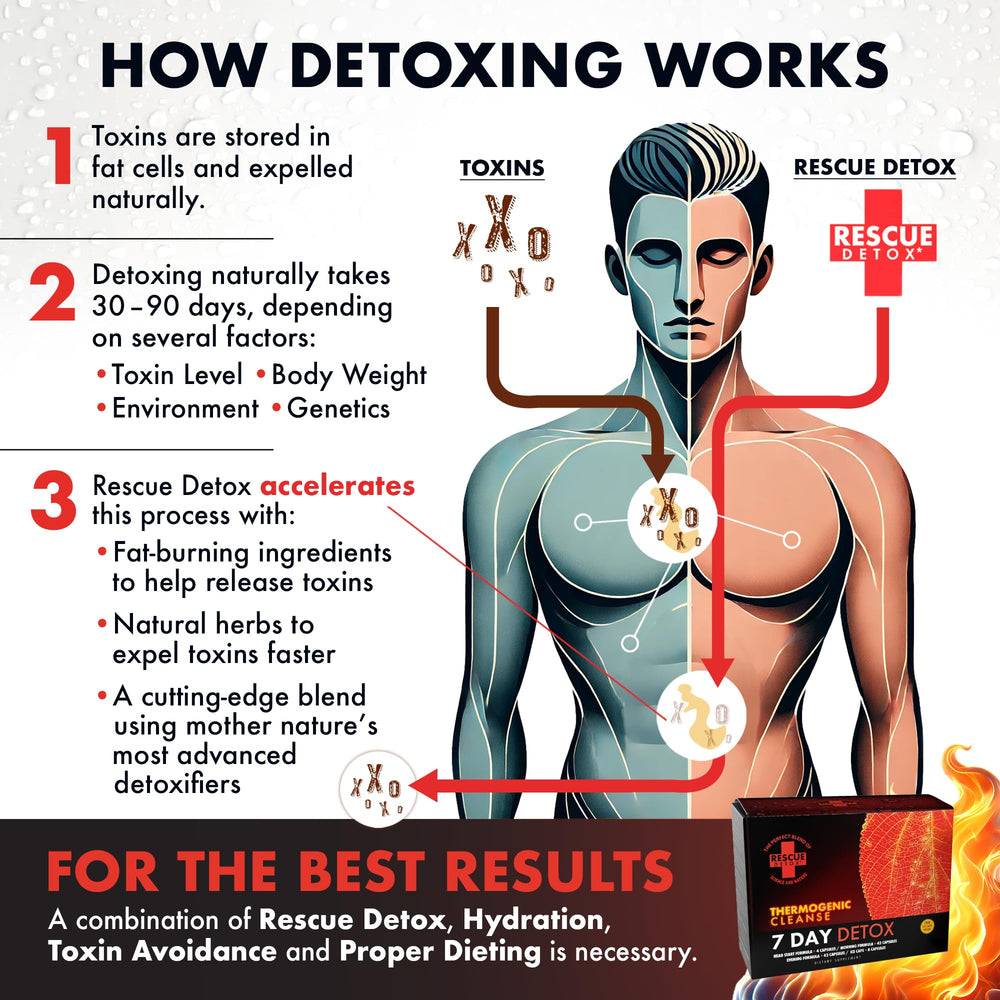 Rescue Detox live coaching interface offering ongoing guidance