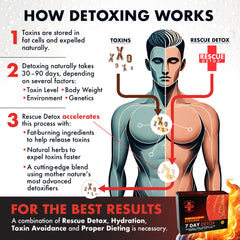 Rescue Detox live coaching interface offering ongoing guidance