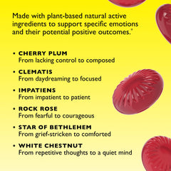 RESCUE Sleep Pastilles bottle label highlights melatonin-free formula.