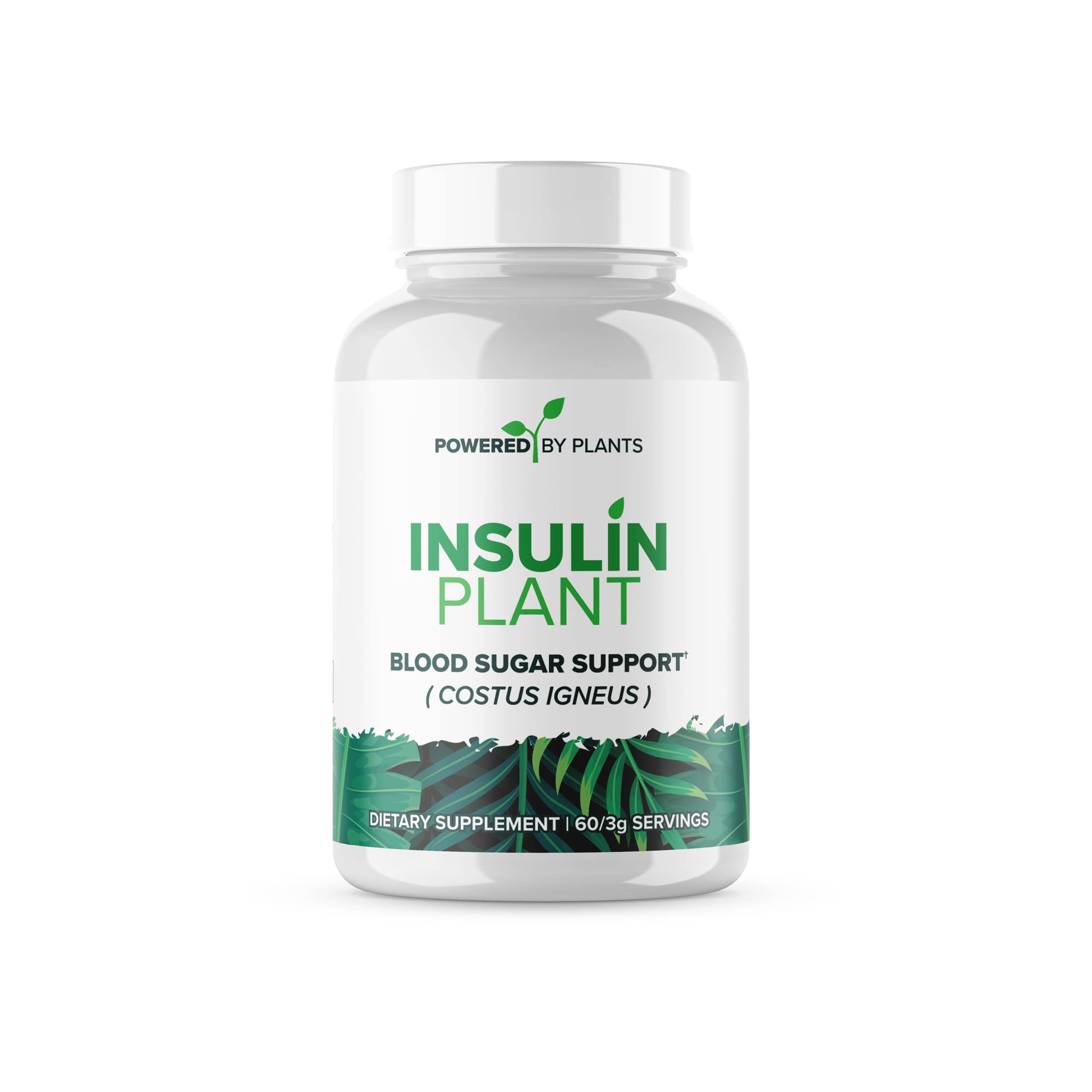 Research Biotech Group insulin plant capsules bottle shows vegan, non-GMO formula for daily wellness.