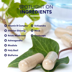 Research Verified Energy Booster bio-perine boosts nutrient absorption.