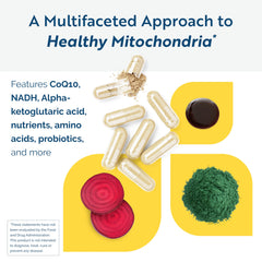Researched Nutritionals ATP Fuel label closeup highlighting vitamins and CoQ10 for mitochondrial support