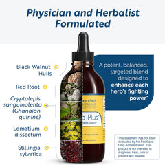 Researched Nutritionals Crypto-Plus phospholipid delivery concept illustrating absorption support.