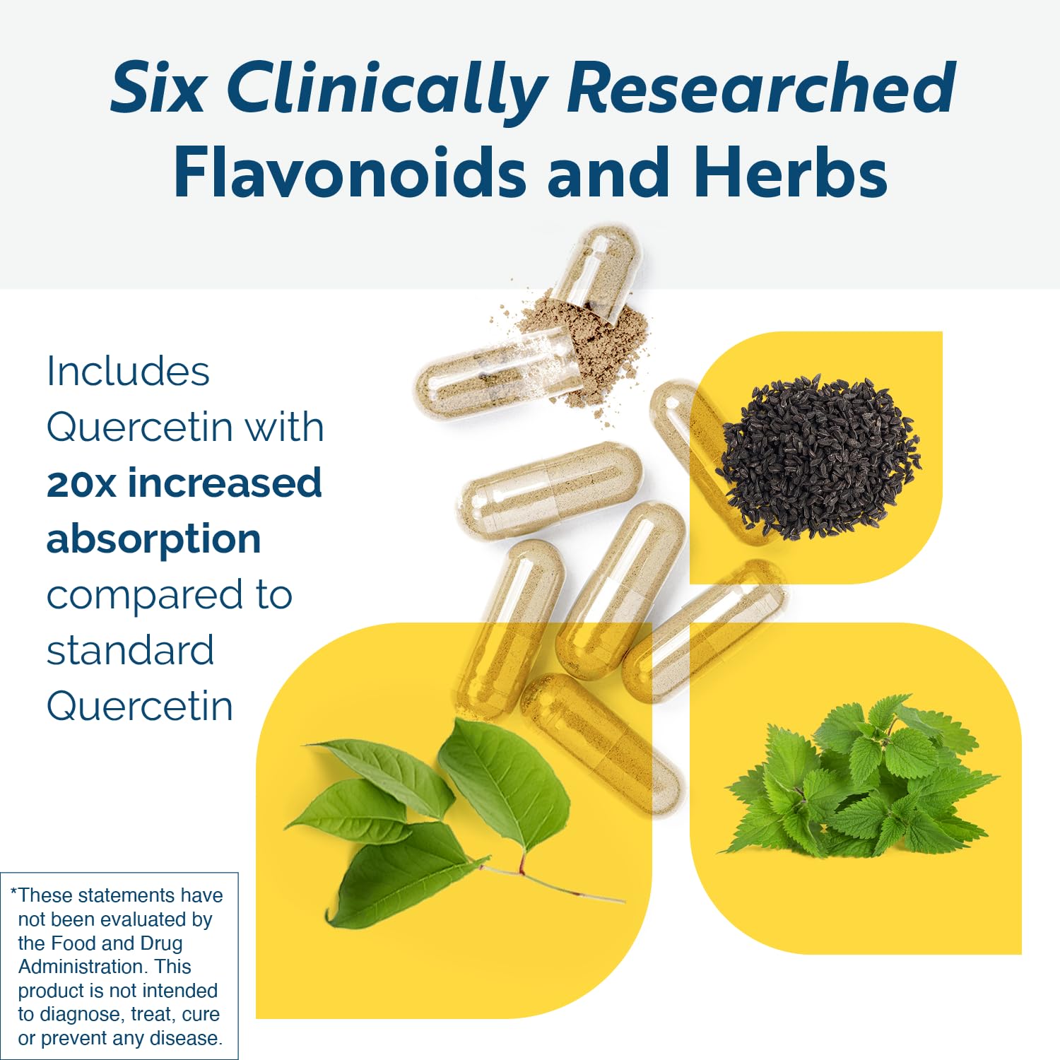 Researched Nutritionals HistaQuel capsules close-up highlighting flavonoids and herbal ingredients.