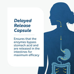 Researched Nutritionals Lumbrokinase label close-up with potency details.