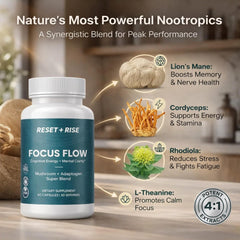 Reset+Rise lion’s mane and cordyceps blend visualizing memory and daily stamina.