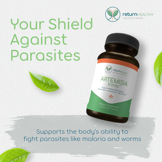 Capsules of Return Healthy Artemisia Trinity shown in close-up.