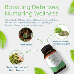 Wormwood extract 30:1 form featured in Return Healthy Artemisia Trinity.