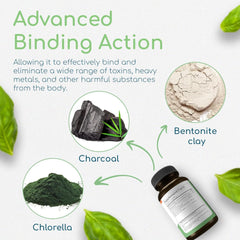 Activated charcoal close-up showing cleansing action in the gut.
