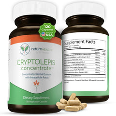 Return Healthy Cryptolepis Concentrate bottle highlighting immune support