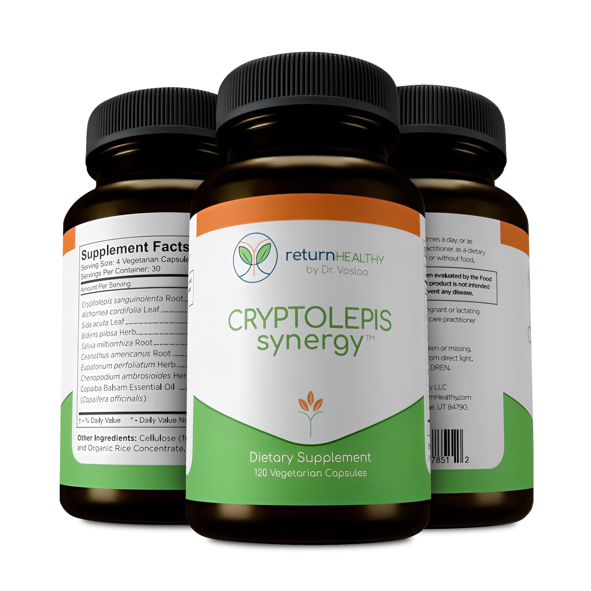 Return Healthy Cryptolepis Synergy background decor suggests a wellness friendly environment.