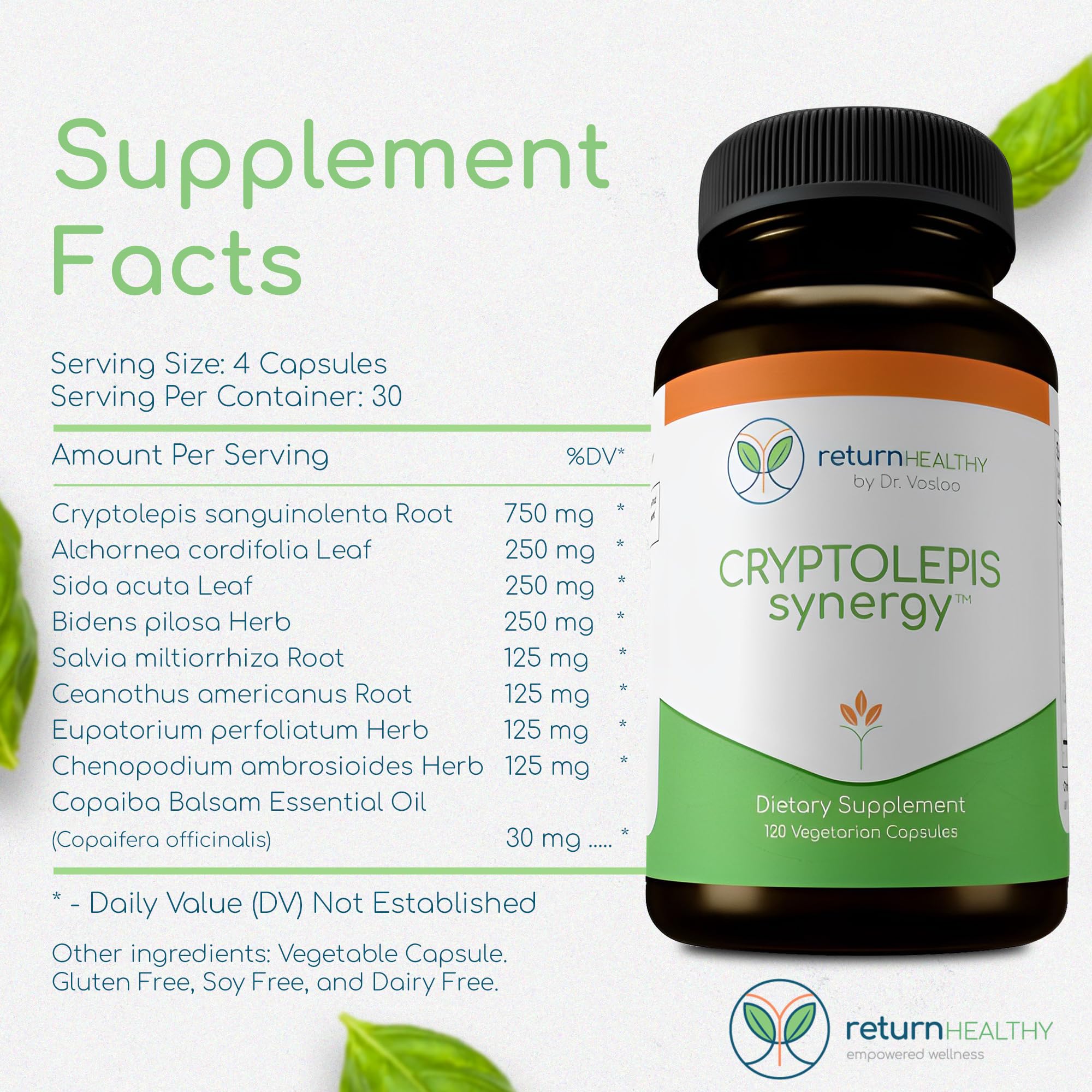 Return Healthy Cryptolepis Synergy bottle with glass conveys calm restorative use in everyday wellness.