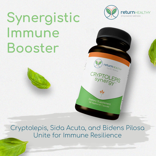 Return Healthy Cryptolepis Synergy capsules closeup highlights convenient daily capsules for immune defense.