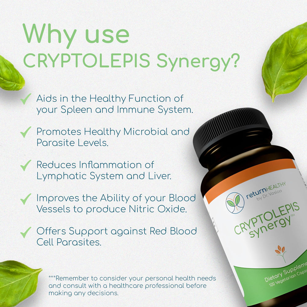 Return Healthy Cryptolepis Synergy packaging box highlights natural botanicals for antioxidant based wellbeing.