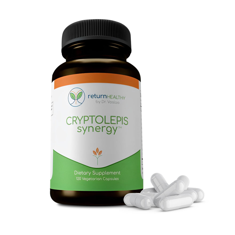 Return Healthy Cryptolepis Synergy shelf scene evokes daily resilience and vitality.