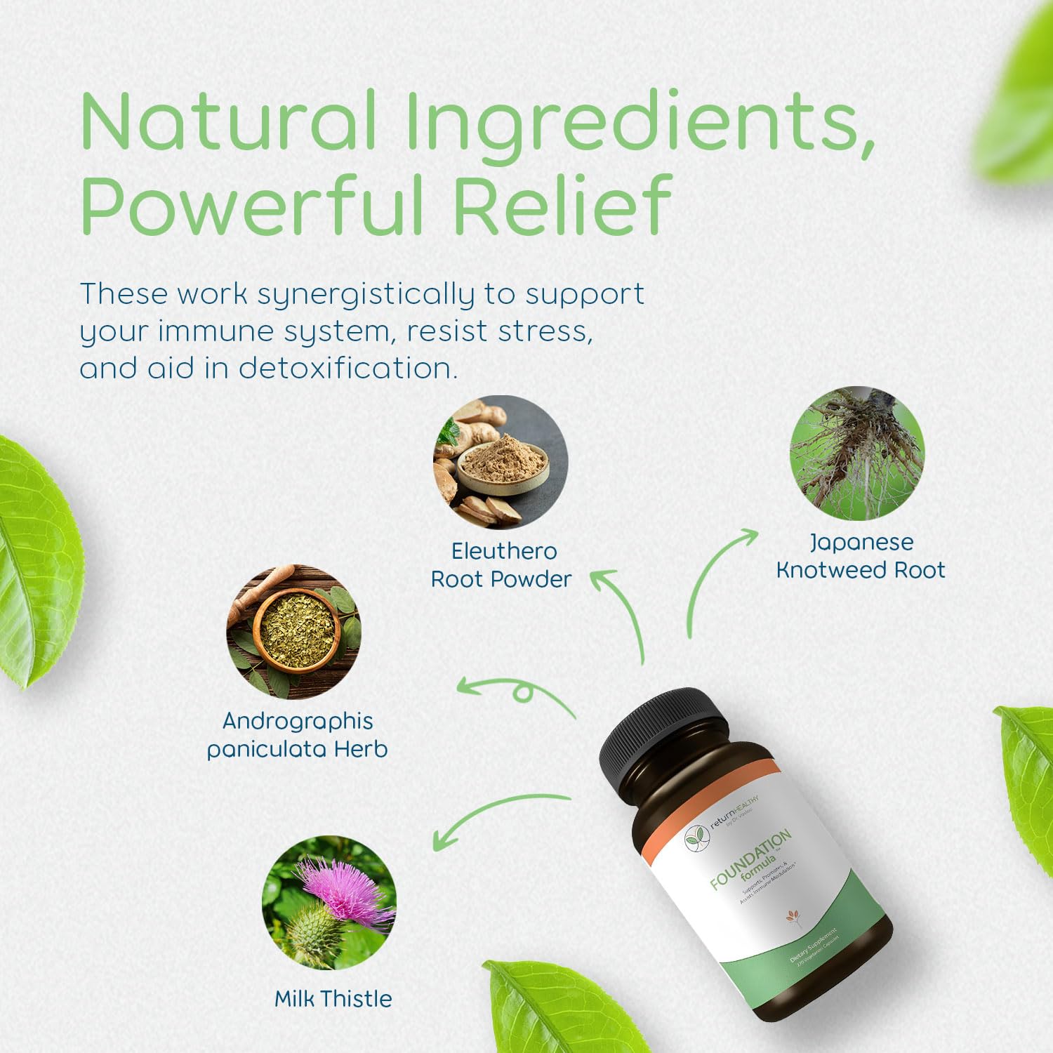 Return Healthy Foundation ingredients-cats-claw features immune balance support.