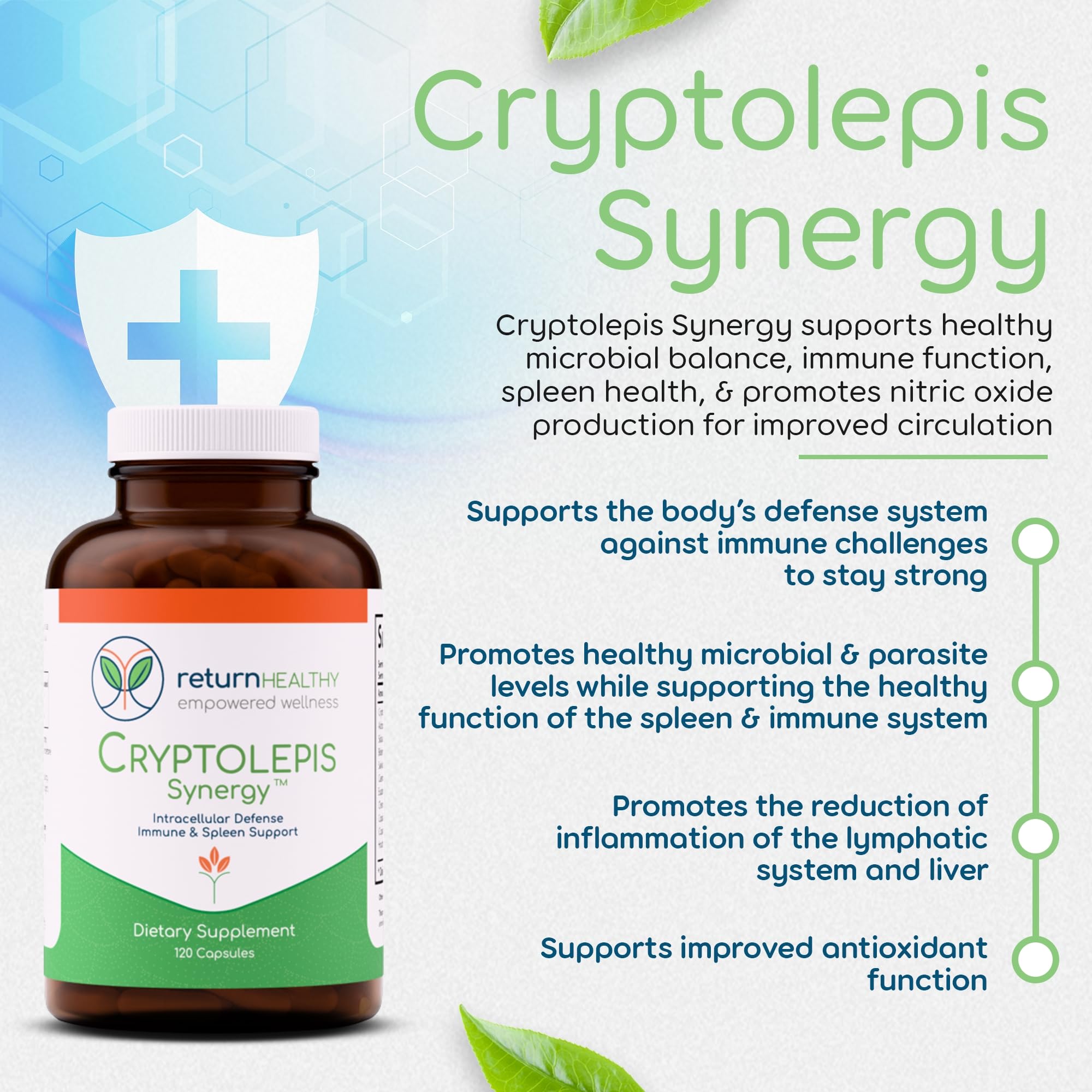 Return Healthy Herbal Biotic capsules for gut-friendly herbs