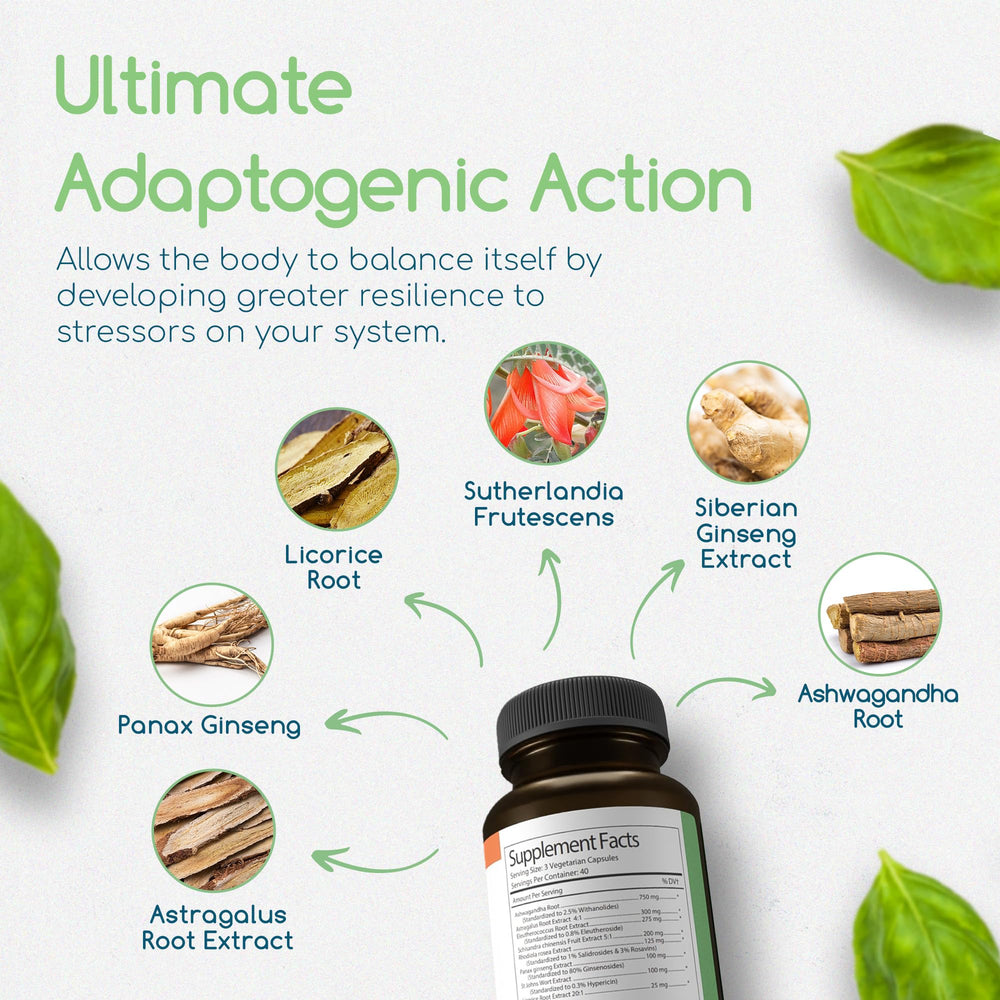 Return Healthy Siberian Ginseng visual showcases herb blend aimed at everyday resilience.