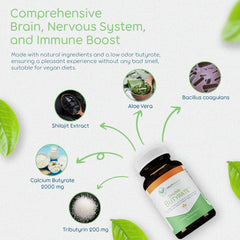 Return Healthy vegan non-GMO ingredients layout underscoring plant-based gut wellness