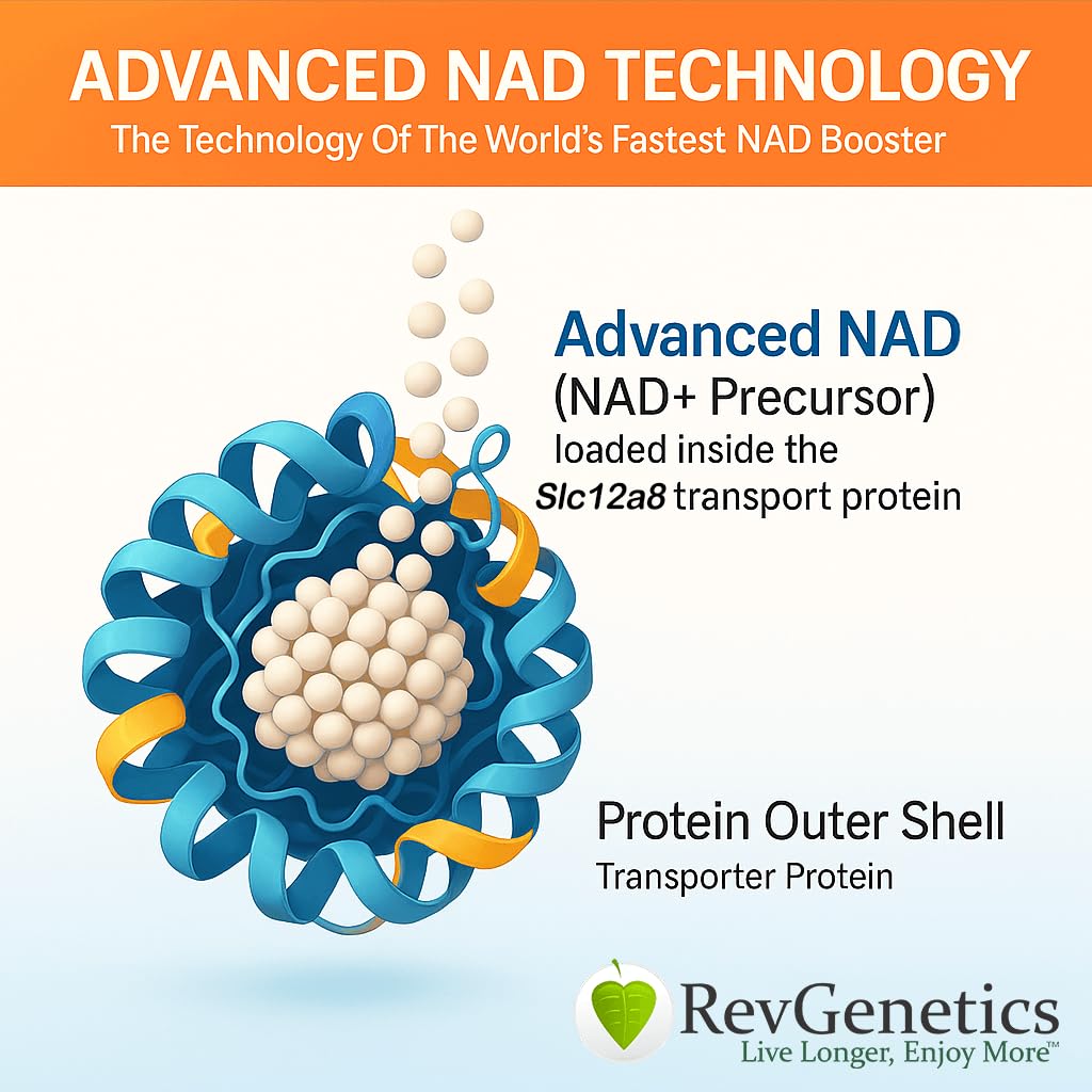 REVGENETICS NAD powder tub with scoop ideal for easy daily use