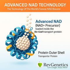 REVGENETICS NAD powder tub with scoop ideal for easy daily use