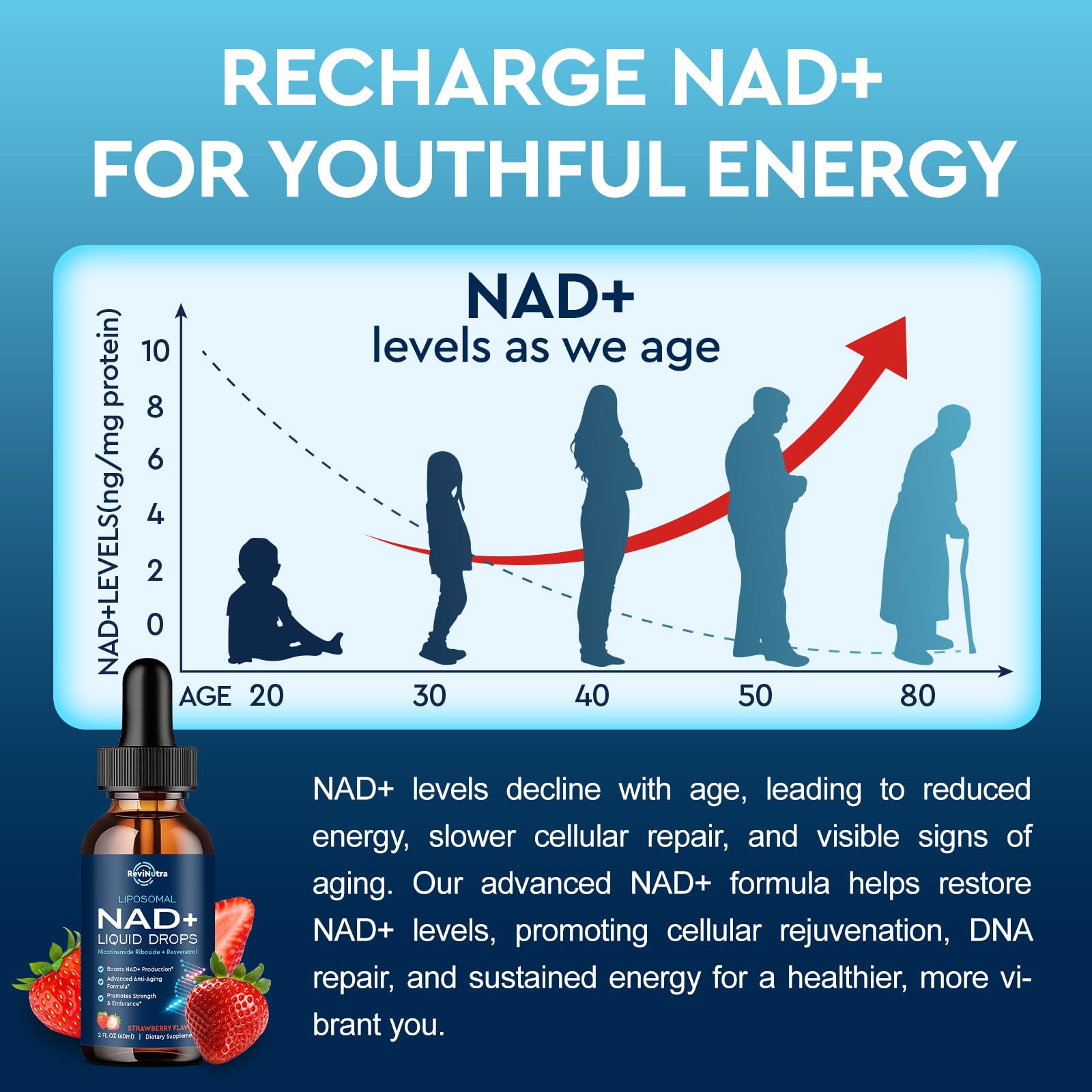 ReviNutra NAD antioxidant blend supporting oxidative balance
