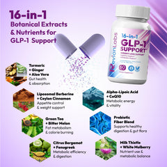 Berberine and cinnamon ingredients in Revion Labs GLP-1 Support for metabolism balance.