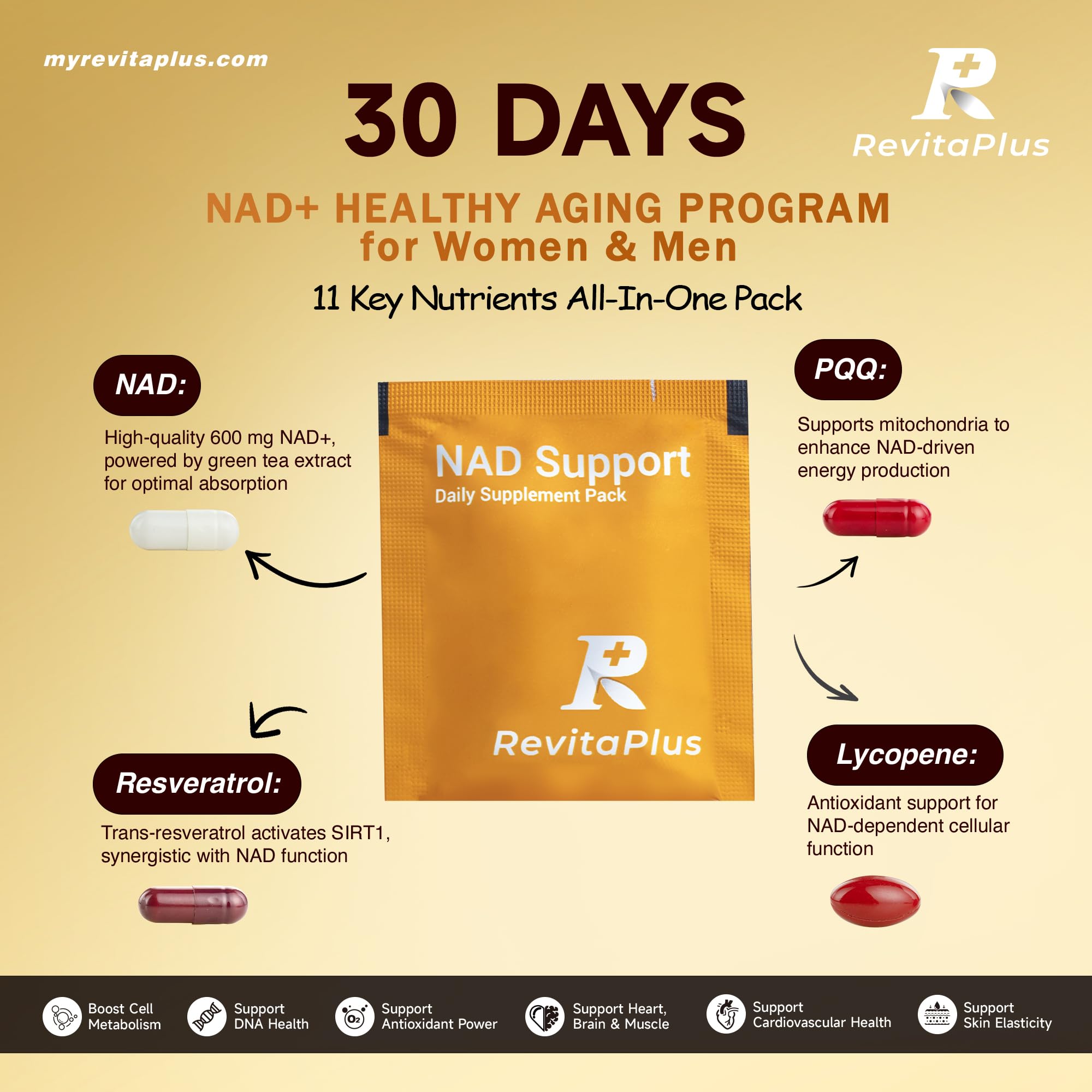 RevitaPlus NAD+ capsules close-up of multi-ingredient formula