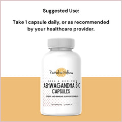 Revitalize Wellness daily-use scene conveying routine-friendly supplement