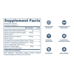 Revive MD grape seed extract closeup emphasizing circulation support