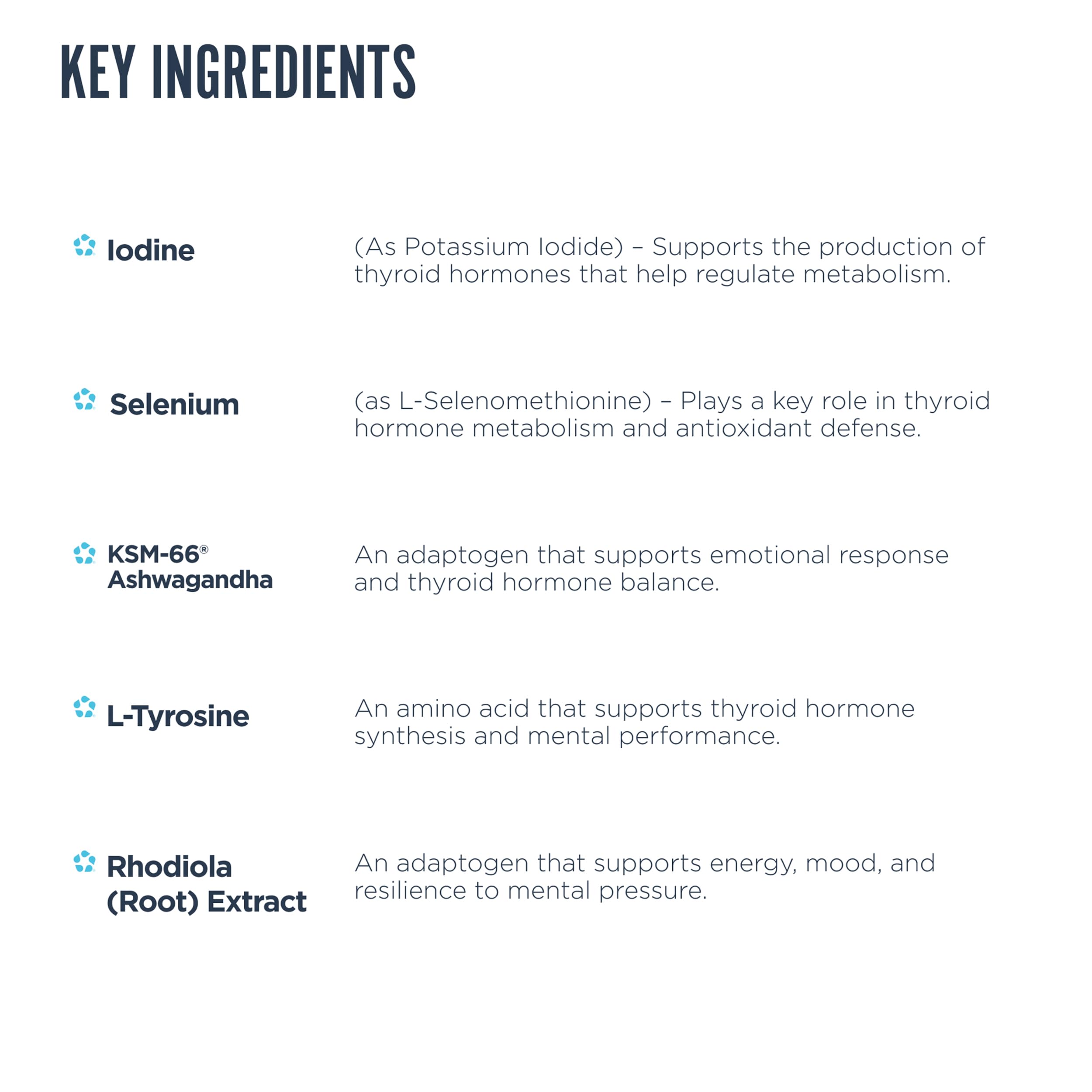 Revive MD Thyroid Support label close-up highlights key natural ingredients