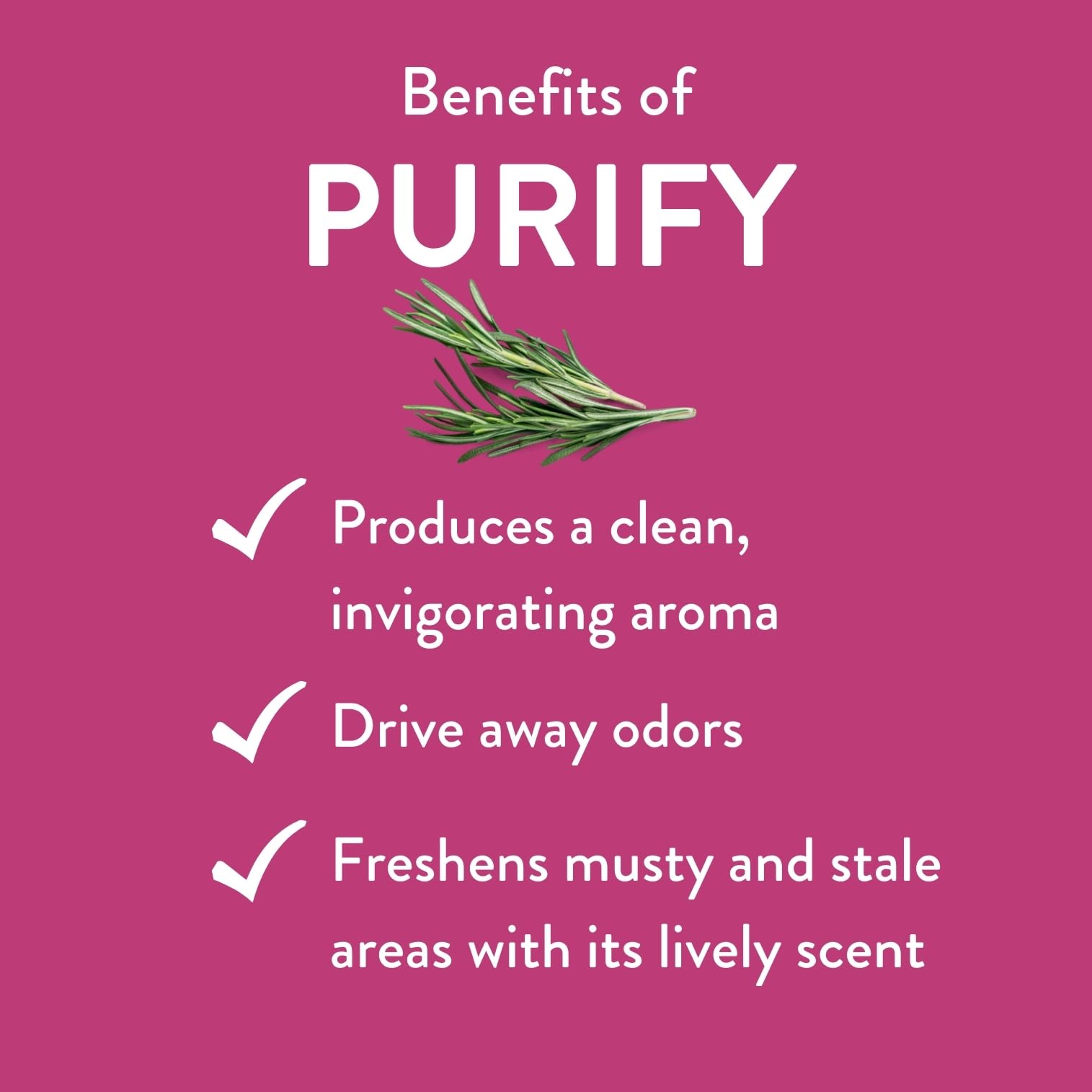 REVIVEEO Purify label-ingredients shows plant-based blend and no fillers