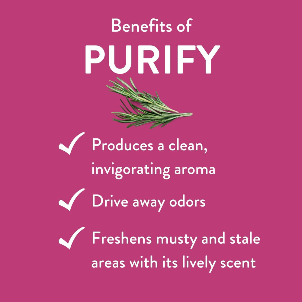 REVIVEEO Purify label-ingredients shows plant-based blend and no fillers