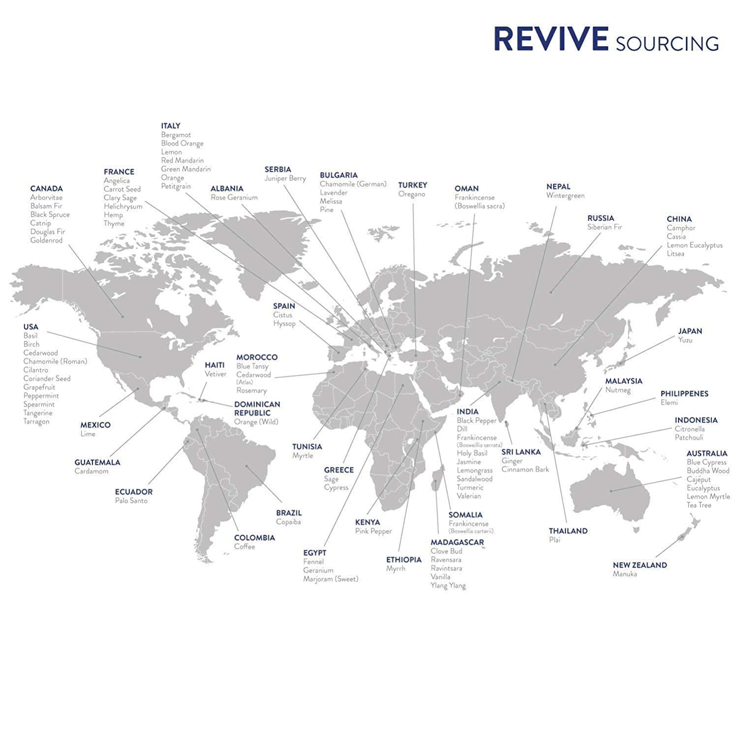 REVIVEEO Packaging and blends arranged for easy gifting