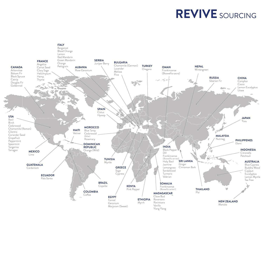 REVIVEEO Packaging and blends arranged for easy gifting