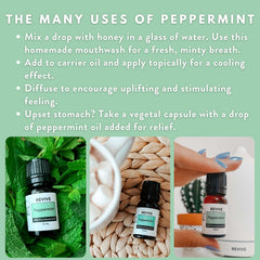 REVIVEEO Peppermint aromatherapy scene highlighting refreshing scent